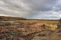 Nature Reserve, Fairburn Ings