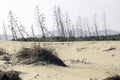 Nature reserve of Gata-Nijar`s End, Almeria. Andalusia, Spain. Royalty Free Stock Photo