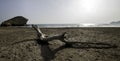 Nature reserve of Gata-Nijar`s End, Almeria. Andalusia, Spain.