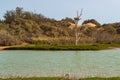 Nature reserve la Charca de Maspalomas, Gran Canaria Royalty Free Stock Photo