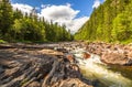 Nature reserve in the Norwegian forest in Tovdal. Norway