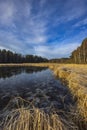 nature reserve Olsina, Sumava National Park, Czech Republic Royalty Free Stock Photo