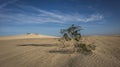 Sand patterns Natural park,Corralejo,Canary-islands,Spain Royalty Free Stock Photo