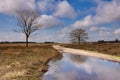 Nature reserve the Regte Heide