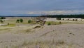 nature reserve with sand drift on the Veluwe in the Netherlands