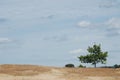 Nature Reserve with Sanddrift