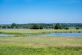 Nature reserve with small water ponds, heather and grasses at the Dutch countryside around Ingen, The Netherlands Royalty Free Stock Photo