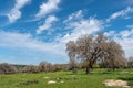 Nature reserve near Kiryat Tivon, Israel Royalty Free Stock Photo