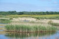 Nature Reserve, St Aidens RSPB sanctuary Yorkshire UK