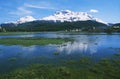 Nature reserve and swamps from Inn-River source near Samedan golf course in the Upper Engadin Royalty Free Stock Photo