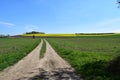ThÃÂ¼r, Germany 04 19 2022: dirt road in the fields during springtime