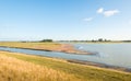 Nature reserve with wetland in the summer season Royalty Free Stock Photo