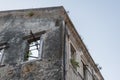 Nature retakes an abandoned ruined building