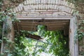 Nature retakes an abandoned ruined building