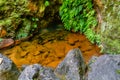 Nature rich in thermal waters, minerals and strong colors flow f Royalty Free Stock Photo