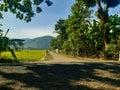 Nature road trees padifield mount Royalty Free Stock Photo