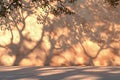 Nature\'s Art: Sun-Dappled Shadows Forming a Unique Number One on a Wall eco tree park light photo image trees shape digit