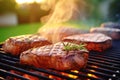 Nature\'s barbecue treat: Delicious sirloin steak with spices cooking on the grill, summer picnic