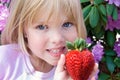 little girl with big strawberry