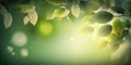 Nature\'s Canvas: Light Green Leaves on Soft Bokeh Background. Perfect for Invitations and Posters.