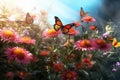 Nature\'s Dance - The Captivating World of Butterflies