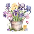 Nature\'s Delight: Irises in Watercolor for Your Marketing Campaign AI Generated