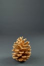 Nature\'s Elegance: Gilded Pinecone Shining on Muted Gray Canvas