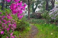 Nature`s Garden Grotto Charleston South Carolina