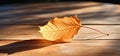 Nature\'s Golden Touch: A Vibrant Fall Leaf on a Sunlit Table