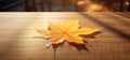 Nature\'s Golden Touch: A Vibrant Fall Leaf on a Sunlit Table