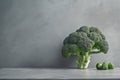 Nature\'s goodness showcased, fresh broccoli on a minimalist concrete backdrop