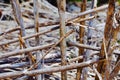 Nature's Grid: Sticks Weaving Together