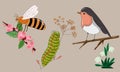 Vector Flat Illustration of a Bird, Bee, and Goose Royalty Free Stock Photo
