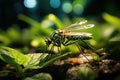Nature\'s Intricacies: Capturing the Delicate Encounter of a Mosquito Alighting on a Puddle. Generative AI