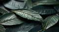 A close up of a group of green leaves