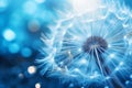 Nature\'s Jewels: A Close-Up of a Dandelion Seed Glistening with Water Drops on a Blue Background