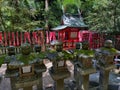 Nature\'s Legacy: Nara Temple Grounds with Enchanting Japanese Garden, Kyoto, Japan Royalty Free Stock Photo