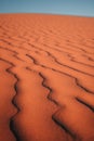 Intricate patterns sculpted by wind upon the desert sands, a captivating display of rhythmic curves and