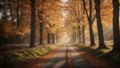 Nature\'s Palette Drive: Autumn\'s Captivating Roadway