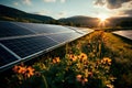 Nature's partnership with technology: Solar panels bloom amidst meadow, capturing the sun's energy for Royalty Free Stock Photo