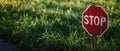 Nature\'s Pause: A Vibrant Stop Sign Against a Grassy Backdrop