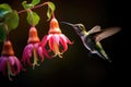 Nature\'s Peaceful Moment: Two Hummingbirds and a Pink Flower in Close-up