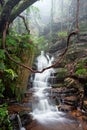 Nature`s playground are the best Blue Mountains Australia