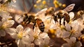 A Mesmerizing Swarm of Bees