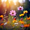 Nature Splendor: Wild Flowers on Summer or Autumn Nature Background, Perfect for Website Royalty Free Stock Photo