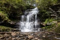 Nature\'s Staircase: A Grand Pennsylvania Waterfall Cascading Across Multiple Rock Levels Amidst Lush Green Foliage