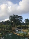 Nature's Staircase: A Tiered Waterfall Amidst Rice Fields and Towering Trees, with Bananas All Around