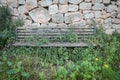 Nature`s Takeover: Abandoned Bench in a Natural Setting