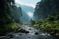 Nature\'s Tapestry Evergreens and a Meandering Alaskan River