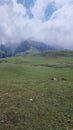 Nature's view of sky, cloud, green meadows & cows at hillstation namely Paye, location in Pakistan Royalty Free Stock Photo